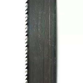 Pilový pás na dřevo Scheppach